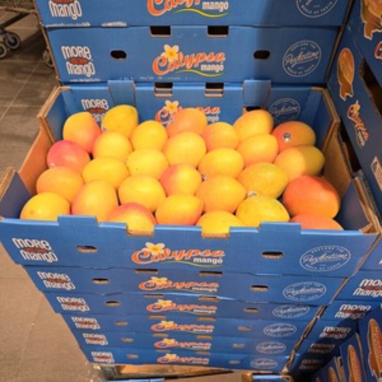[vic]-calypso-mangoes-$15-per-tray-@-sacca’s-fine-foods,-blackburn