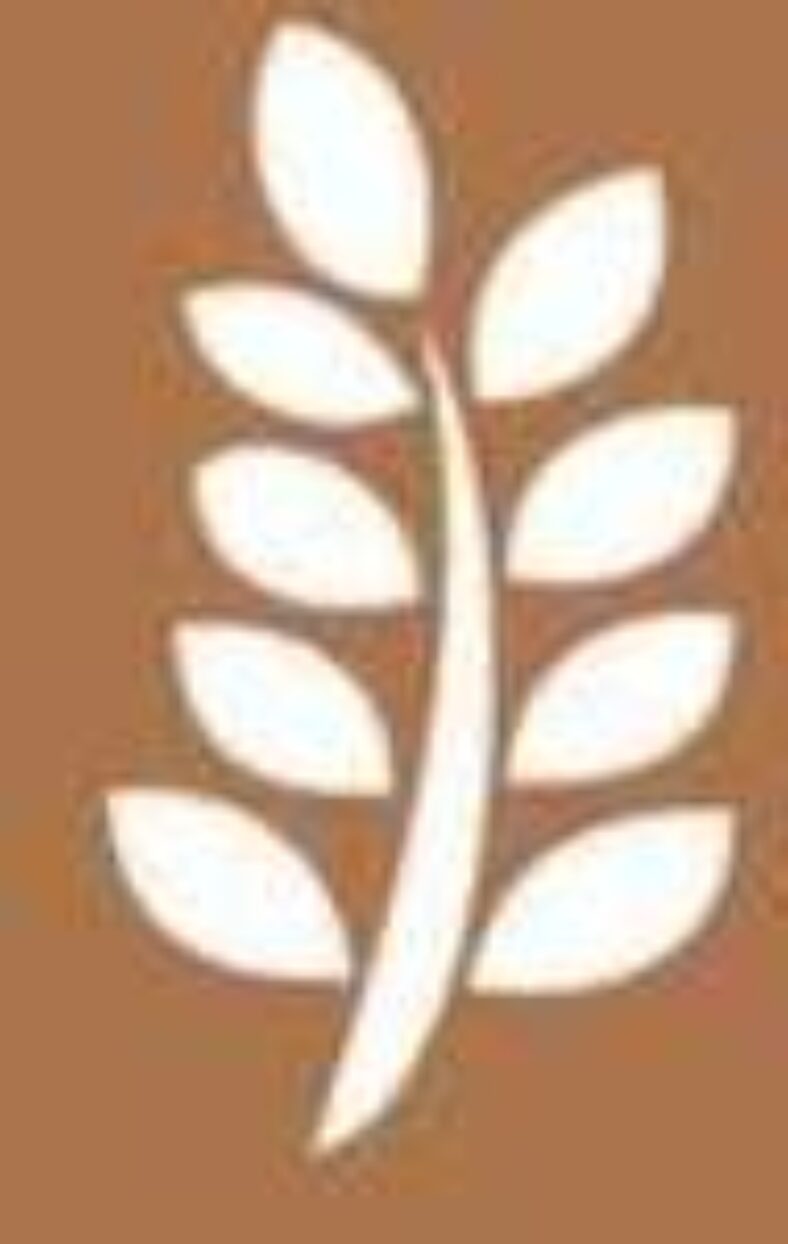 20%-off-storewide-for-loyalty-members-(free-sign-up)-@-the-source-bulk-foods