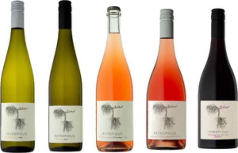 intrepidus-premium-wines-6-bottles-$135-delivered-@-intrepidus-wines