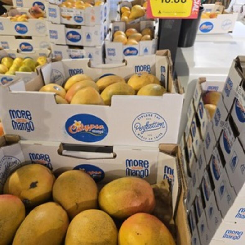 [vic]-calypso-mangoes-$10/tray-@-sacca’s-fine-foods,-blackburn-north