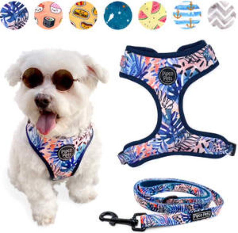 66%-off:-matching-dog-harness-&-lead,-now-$15-(rrp-$44)-+-$5.99-shipping-($0-with-$79-spend)-@-pipco-pets