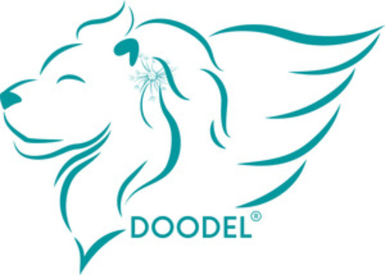 $3-esim-(1gb-data,-7-days)-–-japan,-south-korea,-usa,-indonesia-+-more-@-doodel