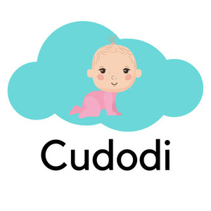 cudodi-cloth-nappy-plus-insert-$12.99-with-free-shipping